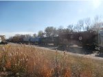 BNSF 405942 & TILX 170132